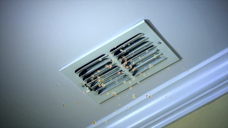 Best Air Duct Cleaning Near Me  in Goshen, IN