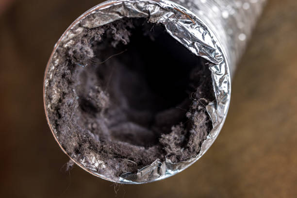 Best Duct Cleaning for Homes  in Goshen, IN